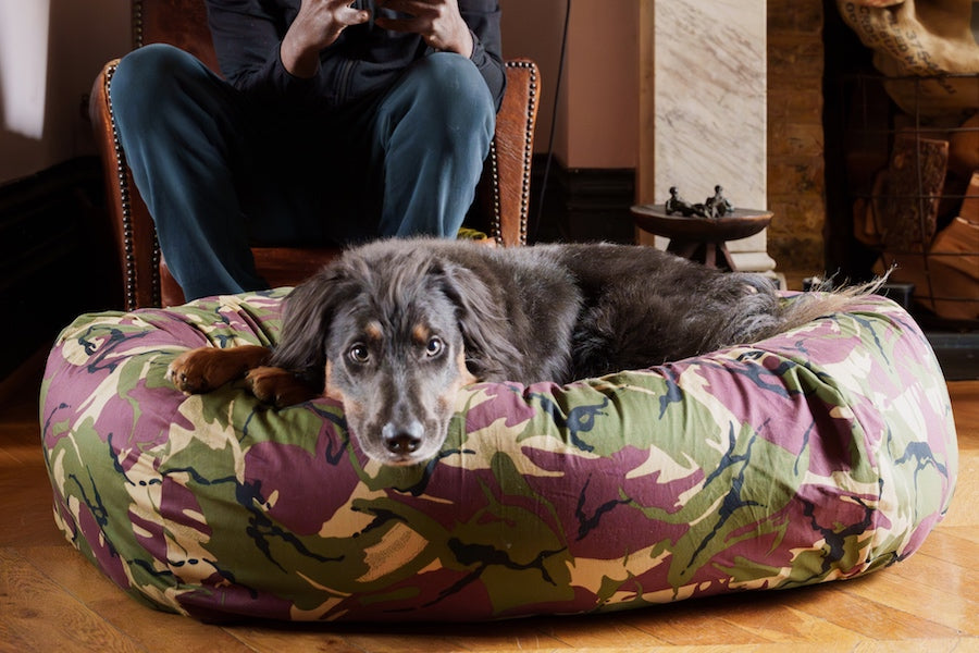 hindquarters camo dog bed