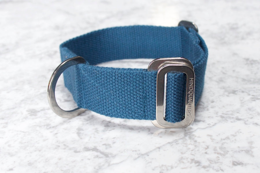 blue dog collar