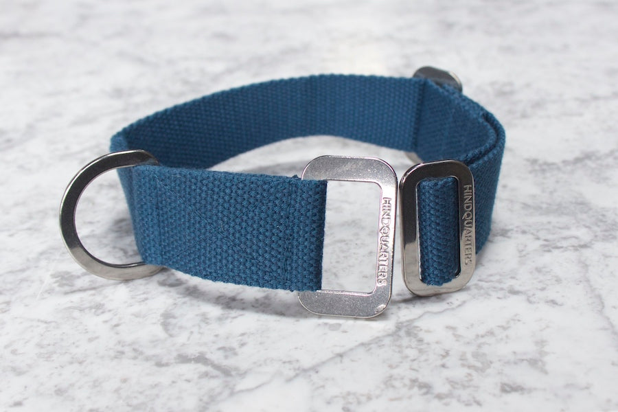 blue hindquarters dog collar