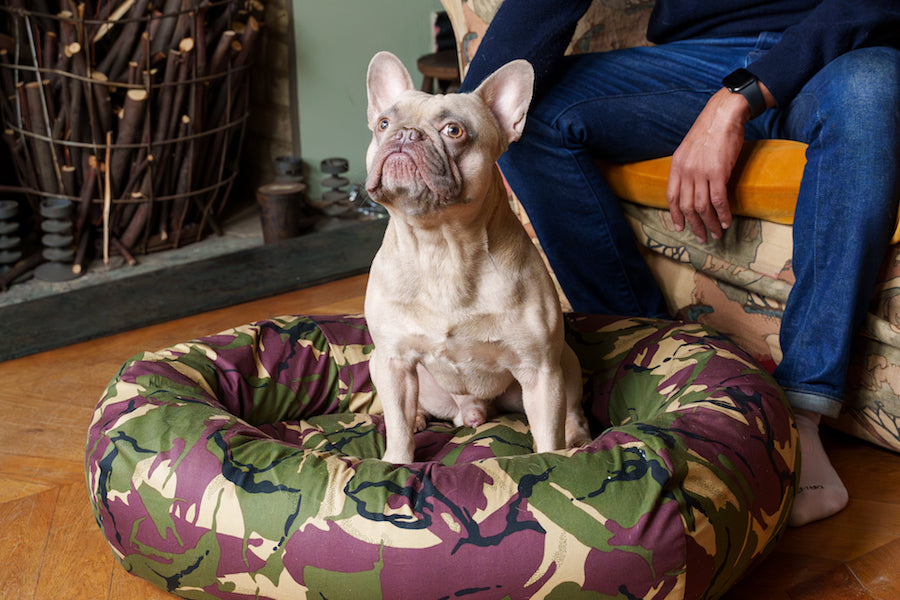 camo dog bed for frenchie
