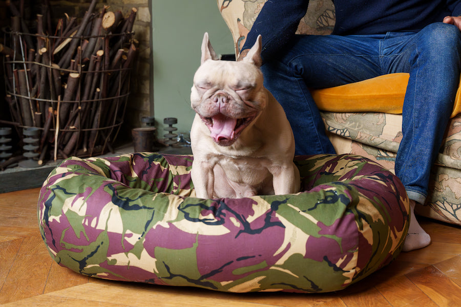 camoflague dog bed