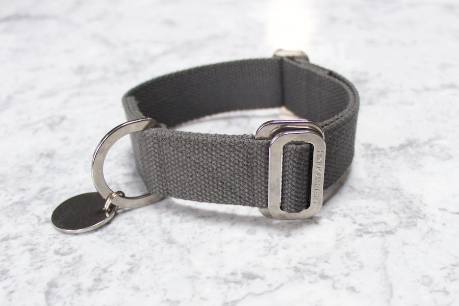 comfy grey collar for dog