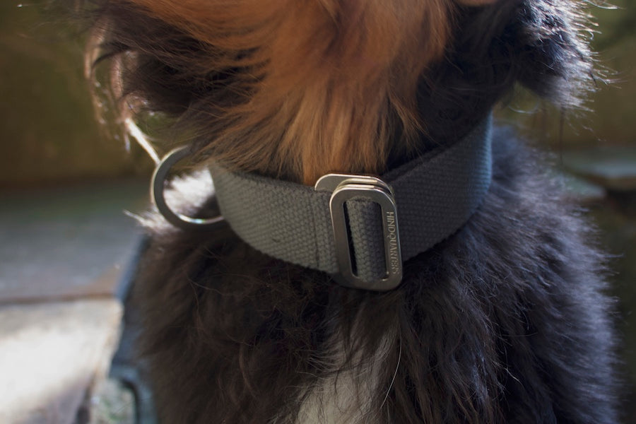 comfy grey dog collar
