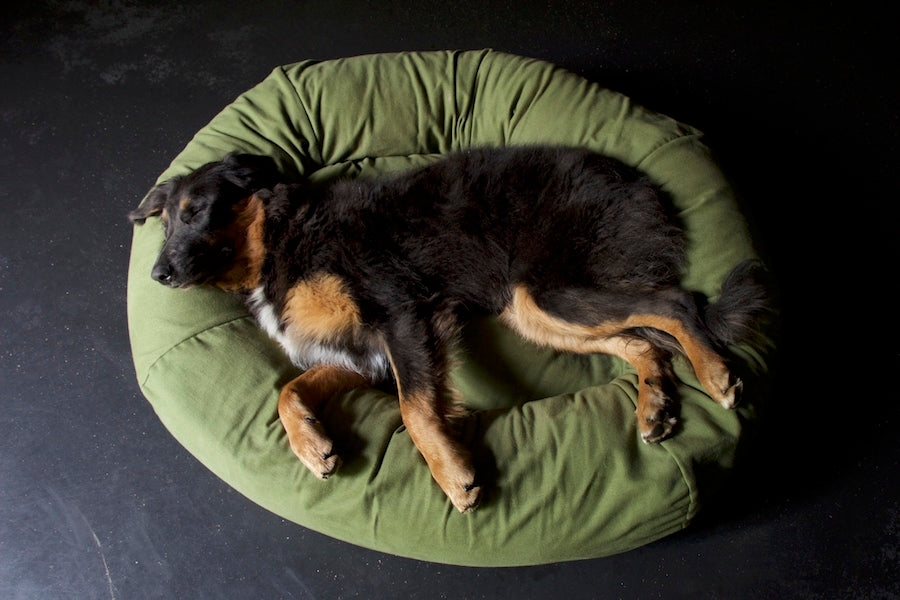 comfy stylish green dog bed