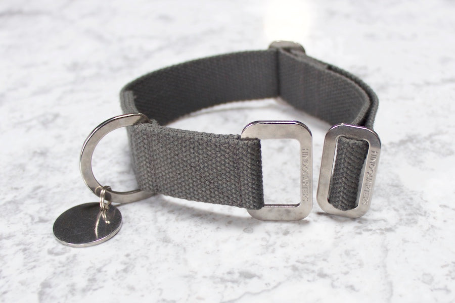 grey hindquarters dog collar