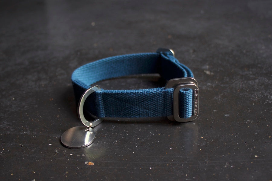 blue dog collar small size