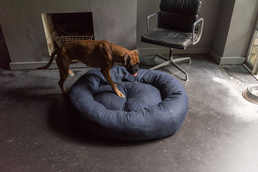 denim dog bed large size