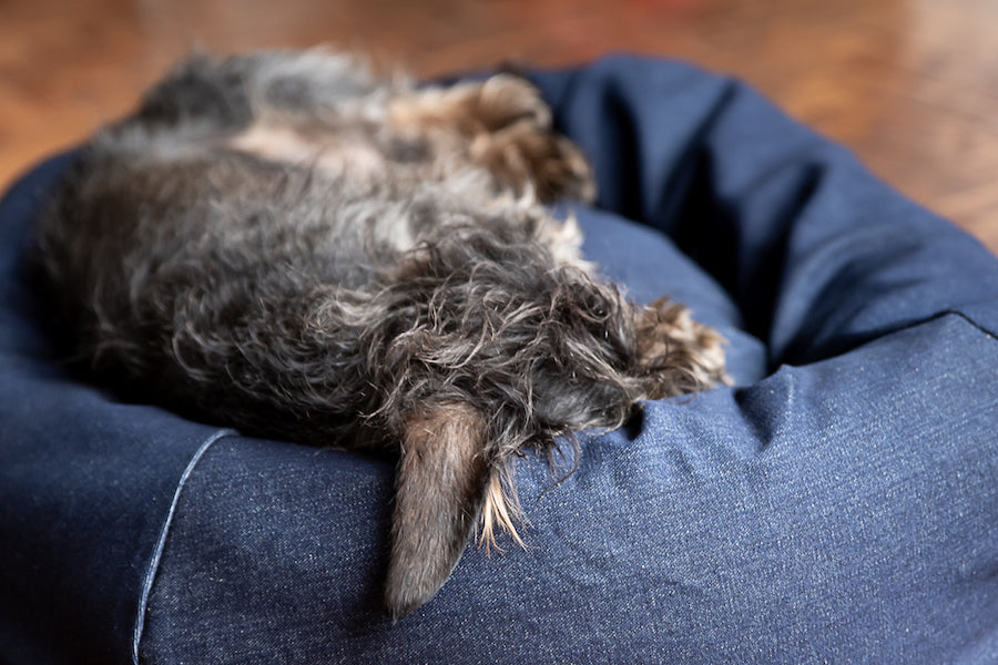 durable denim dog bed