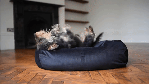getting comfy in bed