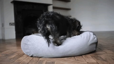 getting into bed