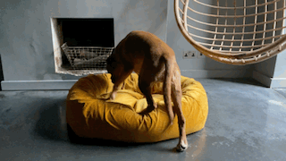 getting into bed