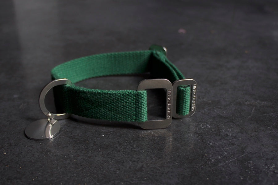 green dog collar for dog small size