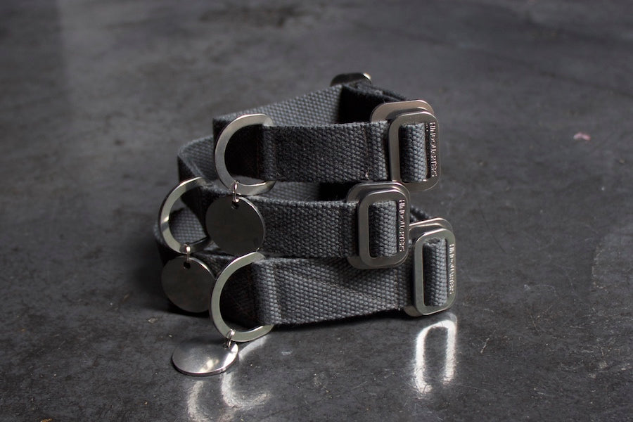 grey dog collars