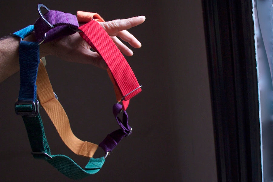 large colourful harness for dog