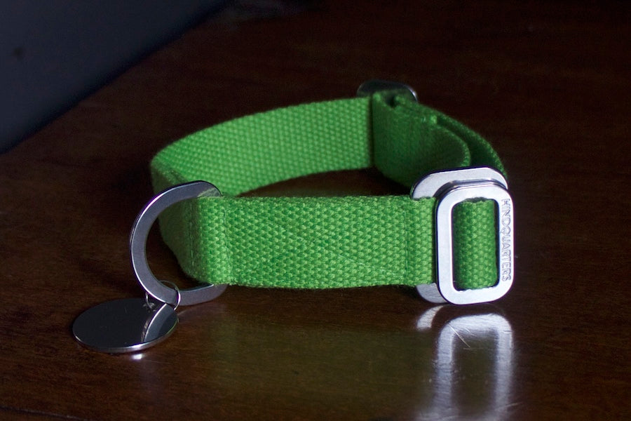 neon green dog collar