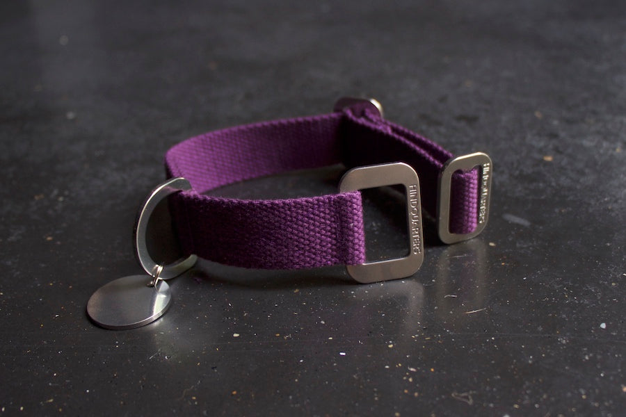 purple collars uk