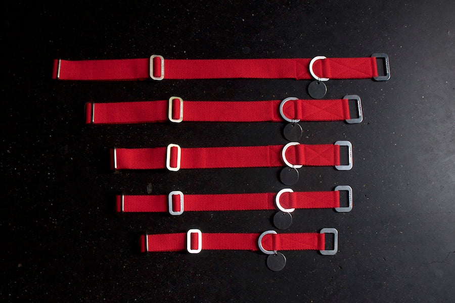 red dog collars