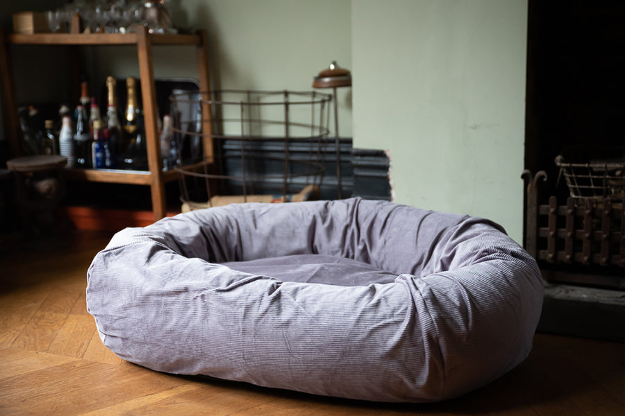grey dog bed