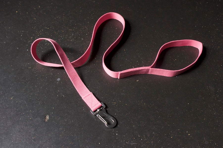 slim pink dog lead
