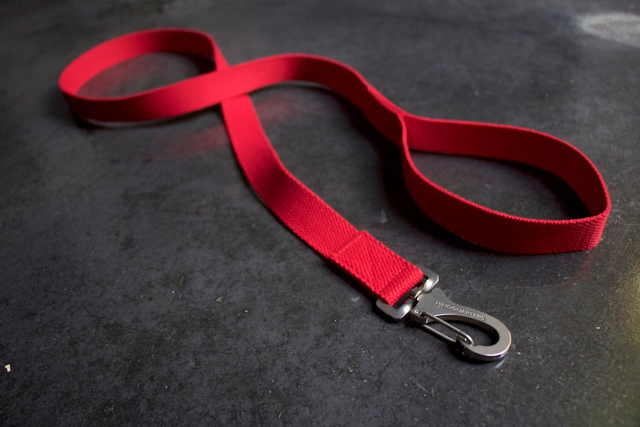 slim red dog lead with comfy handle