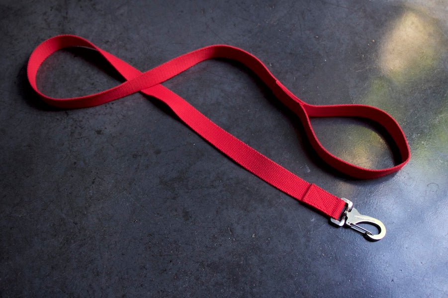 smart red dog lead