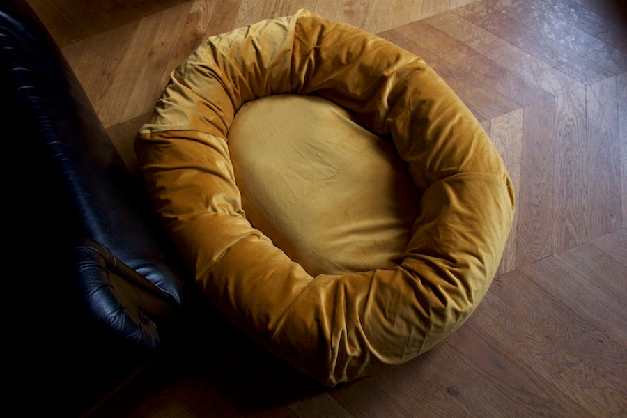 what dog bed should i get
