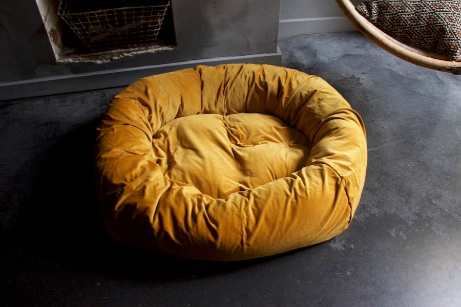 yellow gold velvet dog bed