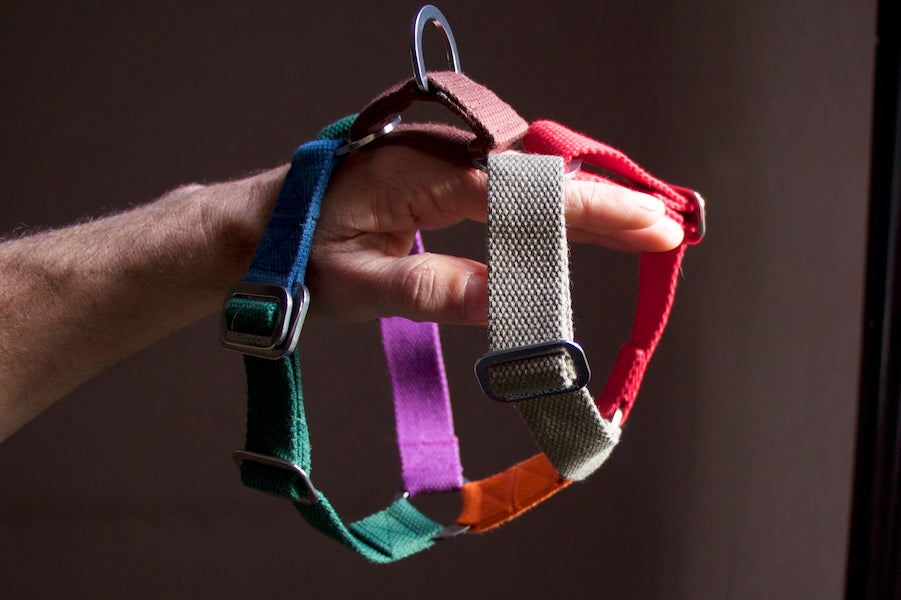 WHAT SIZE HARNESS FOR MY DOG? (AND HOW TO GET A PERFECT FIT FOR YOUR DOG)