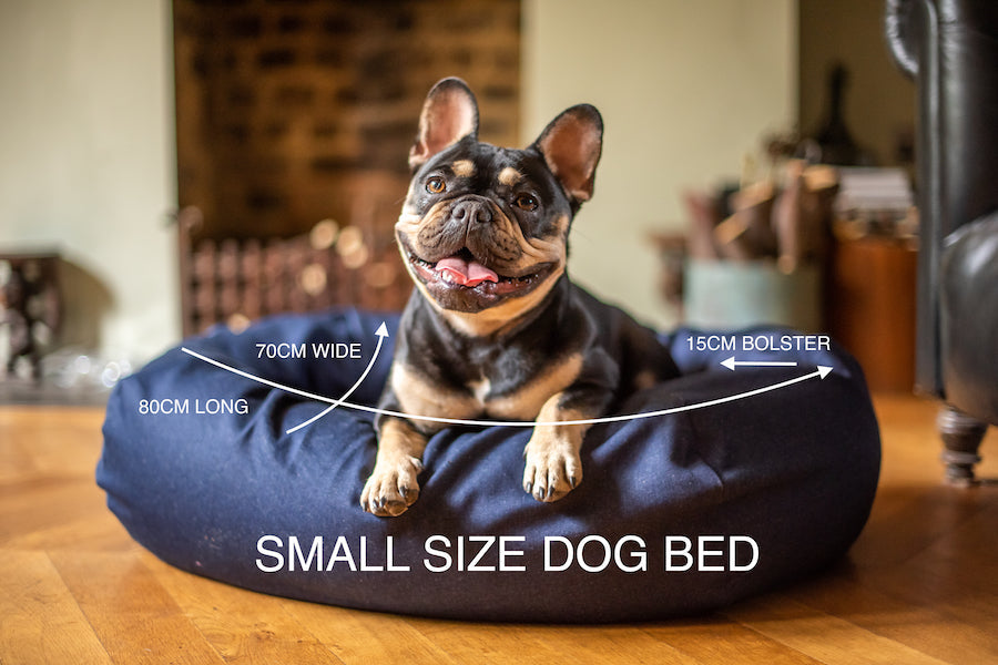 WHAT SIZE DOG BED? HOW TO CHOOSE THE RIGHT BED FOR YOUR DOG