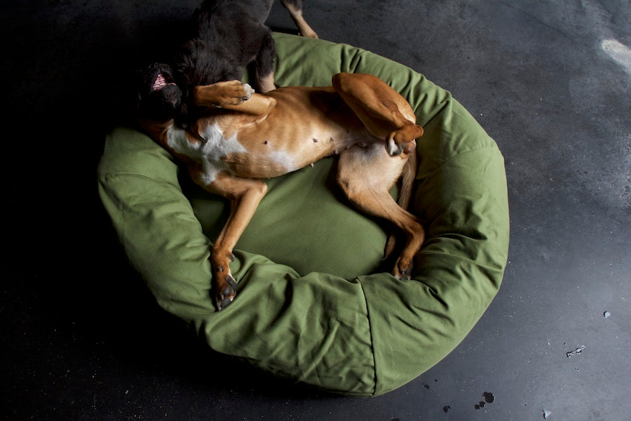SUSTAINABLE DOG BEDS : DURABLE DOG BEDS MADE FROM RECYCLABLE AND NATURAL MATERIALS