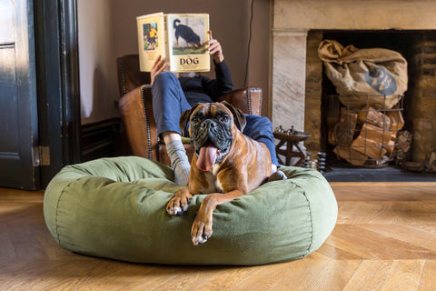 Hindquarters green dog bed