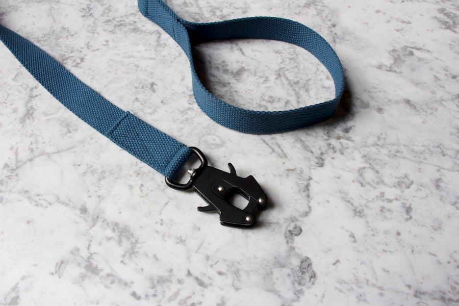 blue dog lead