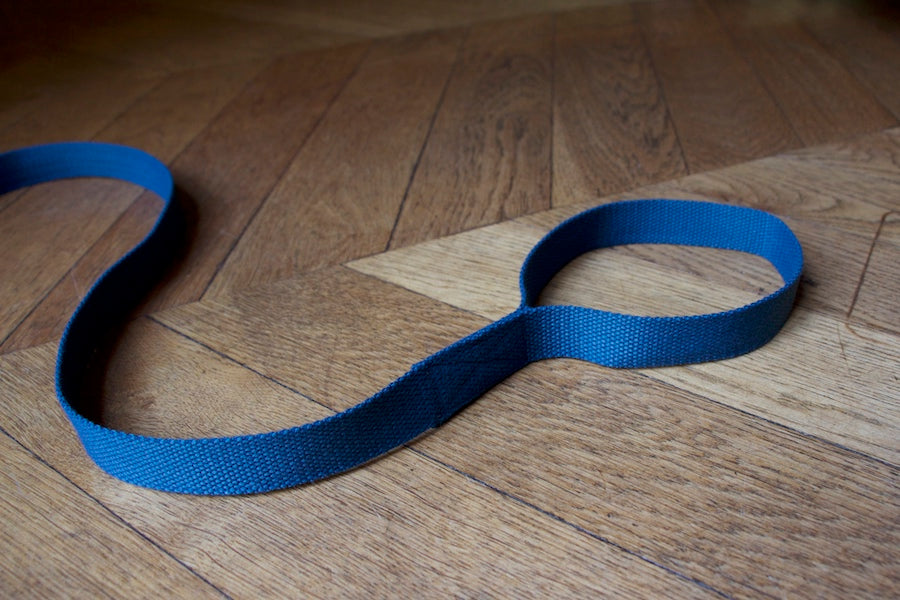 blue dog lead with comfy handle