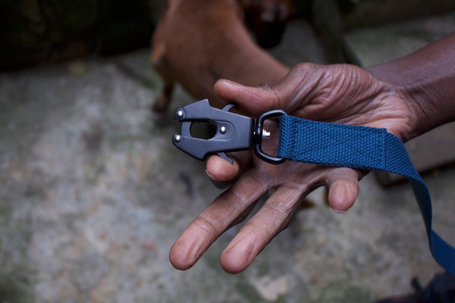 blue dog lead with reliable clip