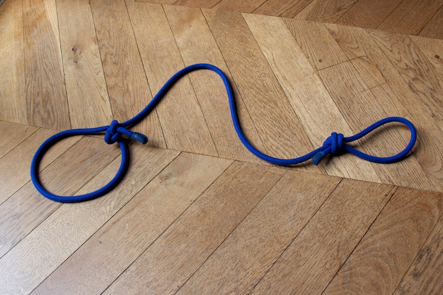 blue rope lead for dog