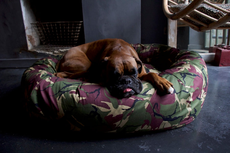 camouflage dog bed