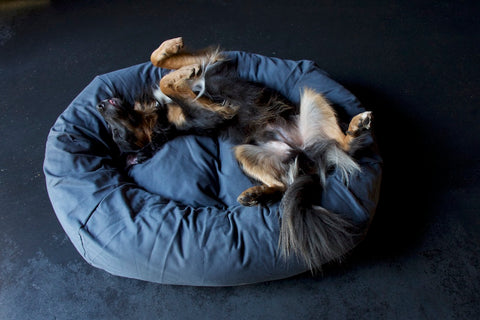 charcoal grey dog bed