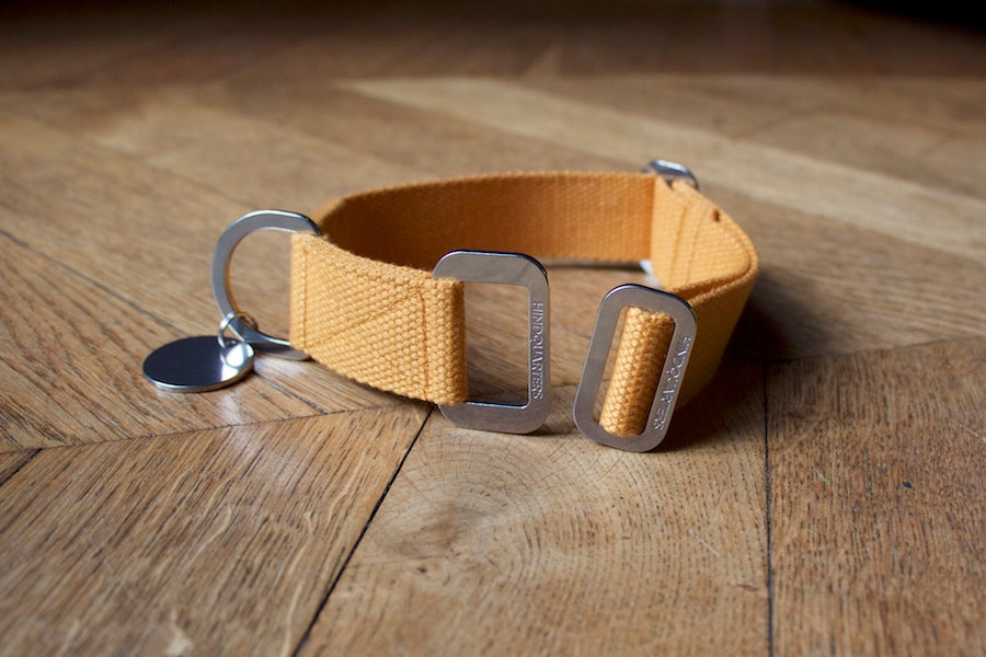 comfy mustard yellow dog collar