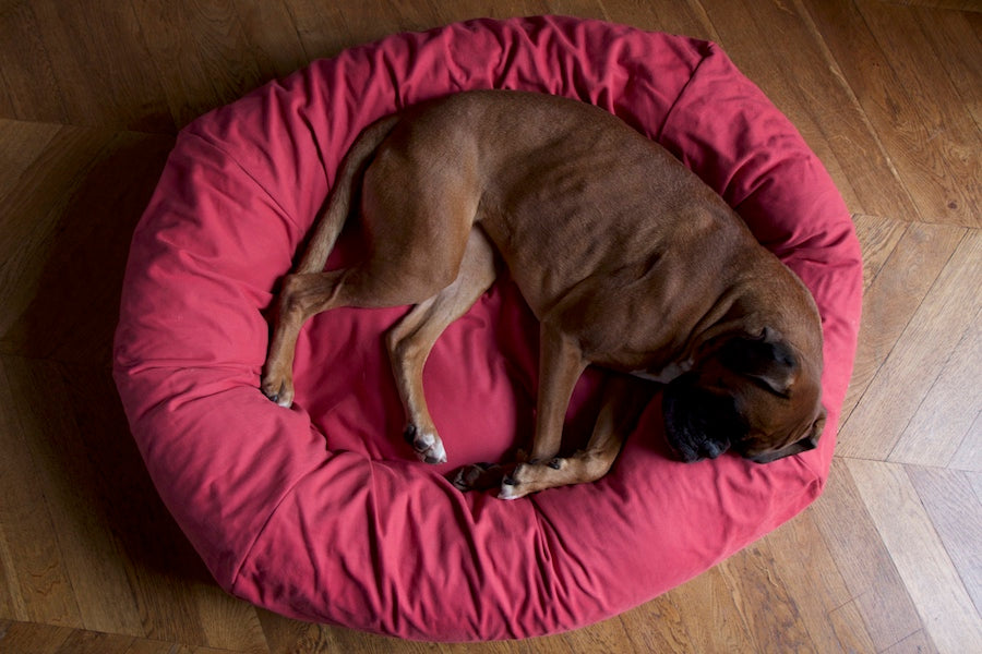 comfy pink dog bed for a big dog