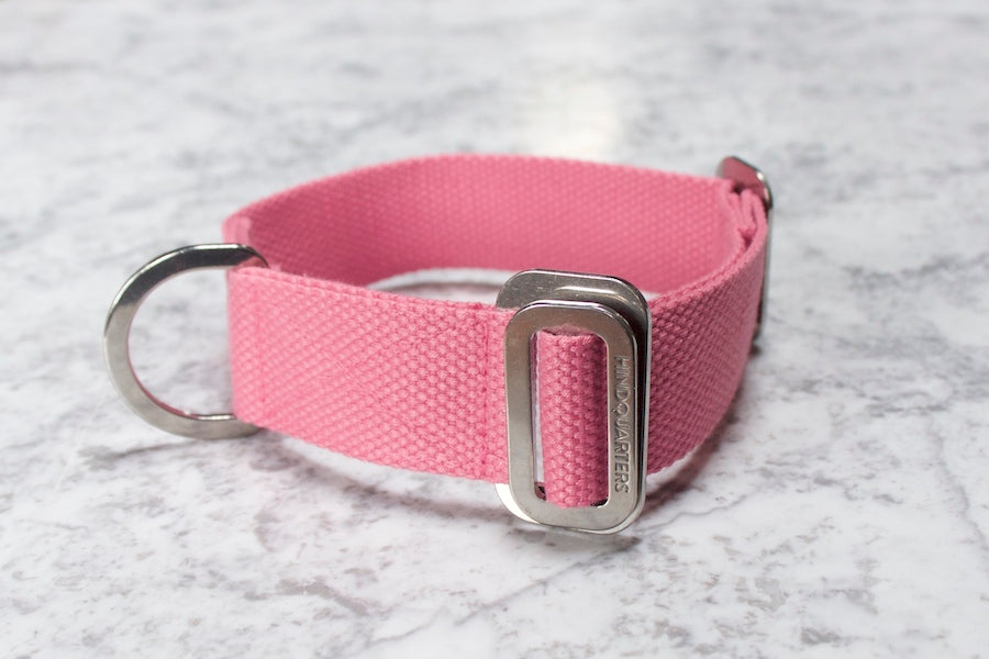 comfy pink dog collar