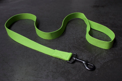 cool lime green dog lead