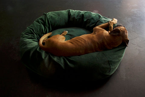 emerald green cord dog bed