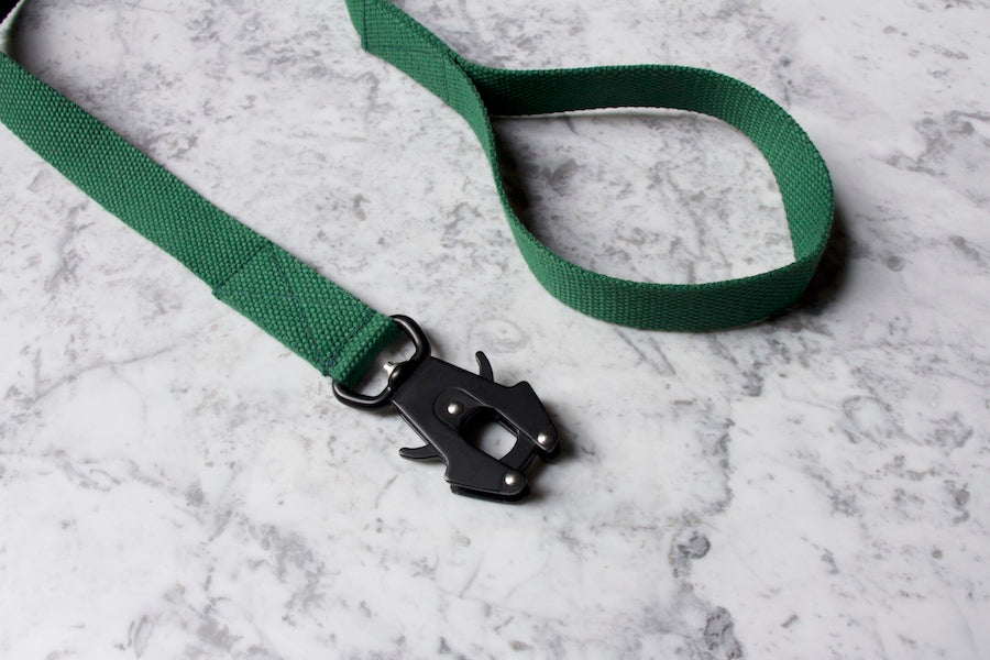 green dog lead