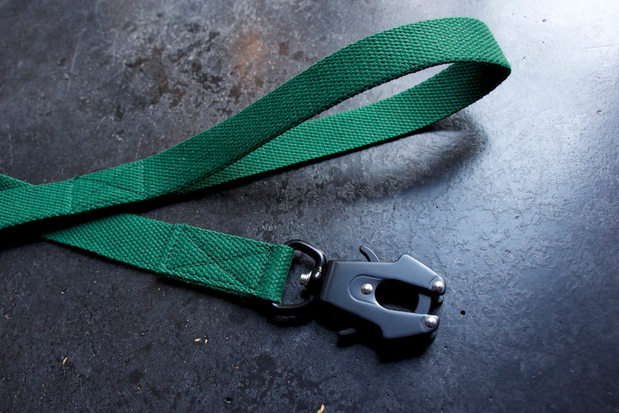 green leash for dog with comfy handle and easy clip