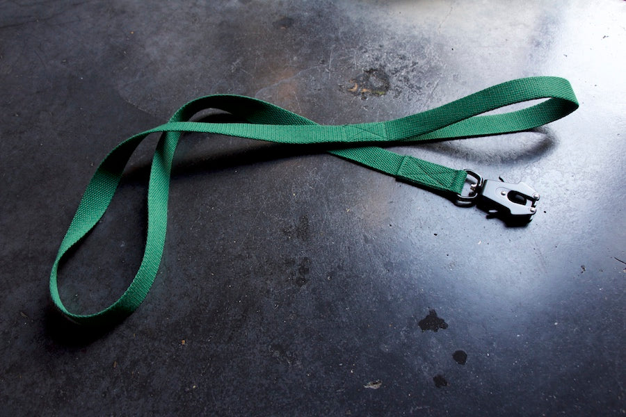 green stylish dog lead