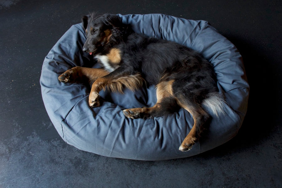 grey dog bed