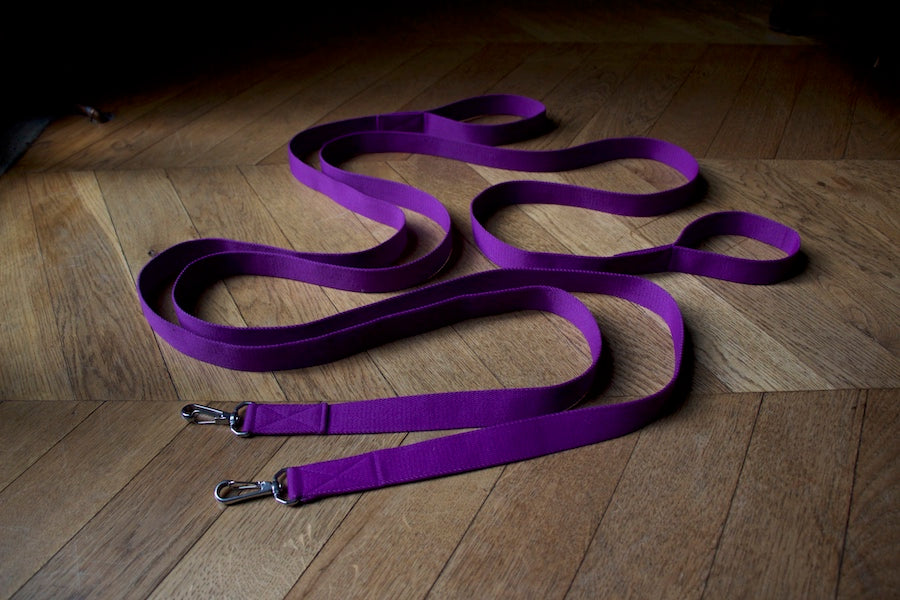 long dog leads