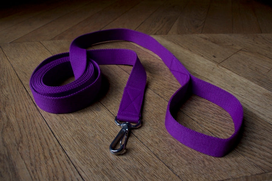 long purple dog lead