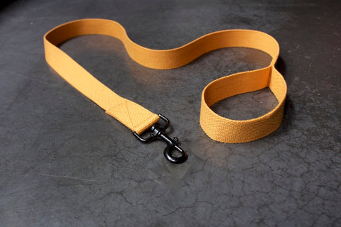 mustard yellow dog lead with black clip