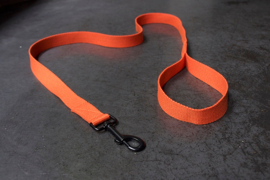 orange dog lead with black clip